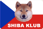 Shiba-klub